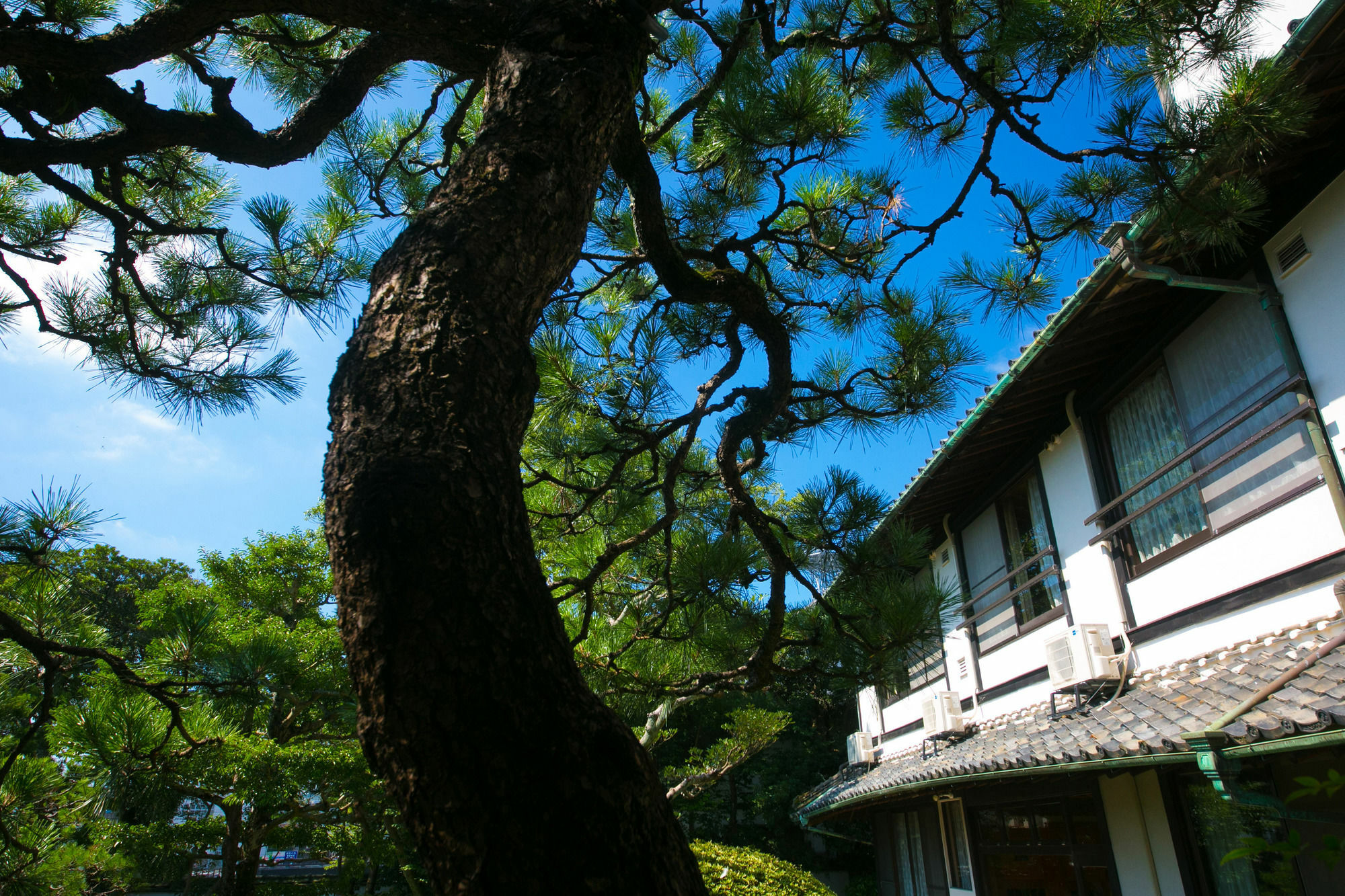 Ryokan Wataya Karacu Kültér fotó